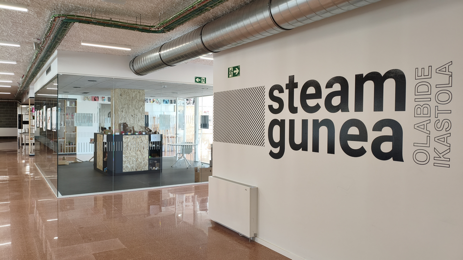 STEAM gunea
